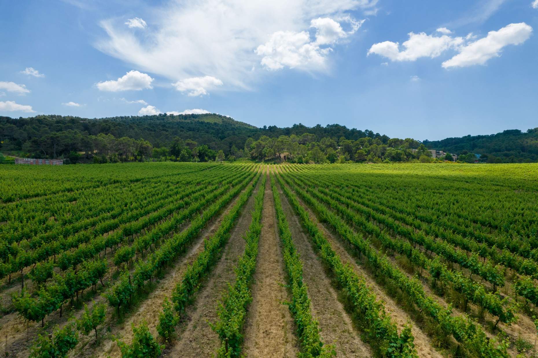Château La Coste exterior